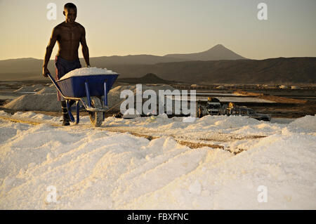 Junge afrikanische Mann schiebt eine Schubkarre voller Salz in eine Kochsalzlösung auf die Ufer des Sees Afrera, Afar-Region, Äthiopien Stockfoto