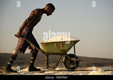 Junge afrikanische Mann schiebt eine Schubkarre voller Salz in den Salinen am Ufer des Sees Afrera, Afar-Region, Äthiopien Stockfoto