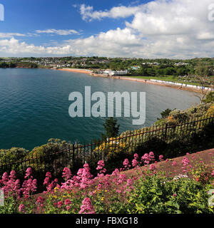 Die geschwungenen Goodrington Sands Beach, Torbay, englische Riviera, Grafschaft Devon, England, UK Stockfoto