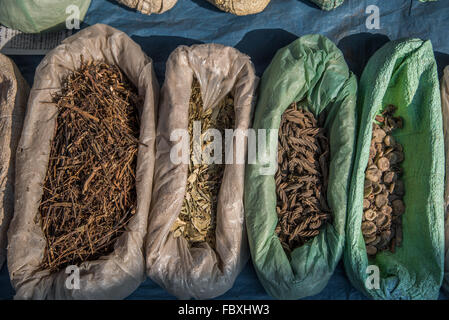 Indischer Markt. Säcke mit getrockneten Kräutern und Gewürzen auf dem sehr großen und sehr lebendigen Balipara Saturday Market, Assam, Indien. Stockfoto