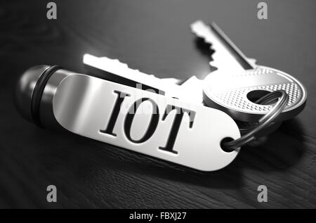 IOT-Konzept. Schlüssel mit Schlüsselring. Stockfoto