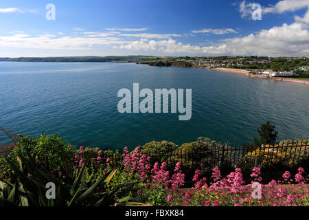 Die geschwungenen Goodrington Sands Beach, Torbay, englische Riviera, Grafschaft Devon, England, UK Stockfoto