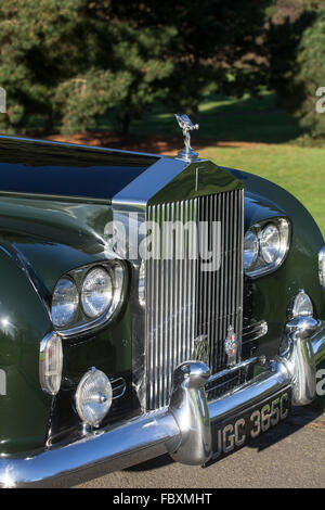 Rolls Royce Phantom 5 PV22 James Young 1965 hautnah Stockfoto