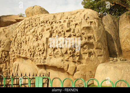 Herabkunft des Ganges (Mahabalipuram) Stockfoto