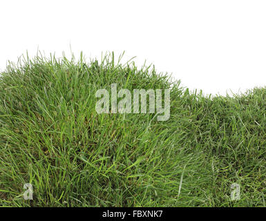 Grass-Hill-Ausschnitt Stockfoto