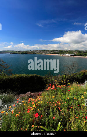 Die geschwungenen Goodrington Sands Beach, Torbay, englische Riviera, Grafschaft Devon, England, UK Stockfoto