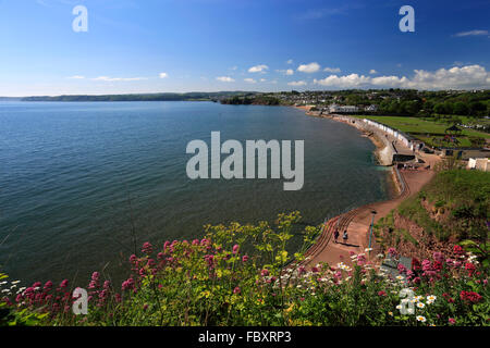 Die geschwungenen Goodrington Sands Beach, Torbay, englische Riviera, Grafschaft Devon, England, UK Stockfoto