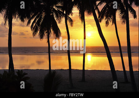 Sonnenaufgang an einem wunderbaren Strand mit Palmen Stockfoto