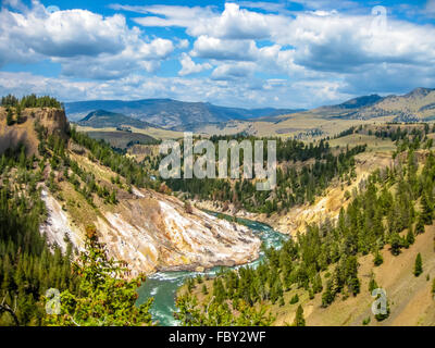 Grand Canyon in den Yellowstone River Stockfoto