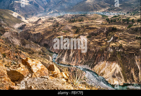 Colca Canyon Ansicht Übersicht Stockfoto