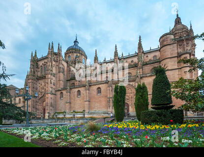 Neue Kathedrale (Catedral Nueva) in Salamanca, Spanien Stockfoto