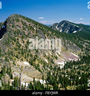 Klapperschlange Wildnisgebiet im Lolo National Forest in der Nähe von Missoula, montana Stockfoto