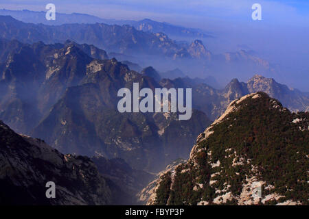 Shanxi Provinz Qinling Wald Stadt Larix Chinensis in Schutzgebieten Stockfoto