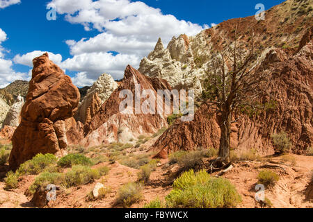 Cottonwood Canyon Road Stockfoto