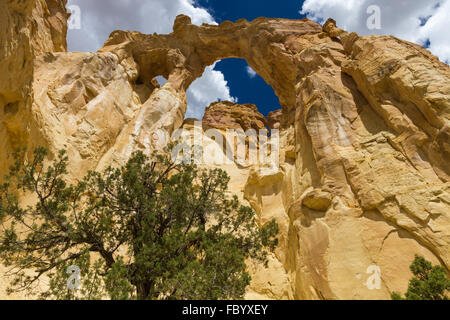 Grosvenor Arch Stockfoto