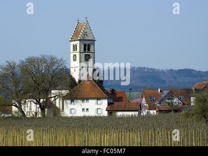 St. Martin Kirche Frickingen Stockfoto