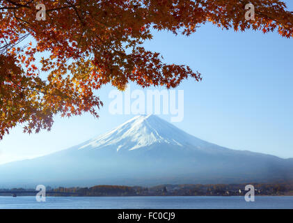 Mt. Fuji und rot-Ahorn Stockfoto