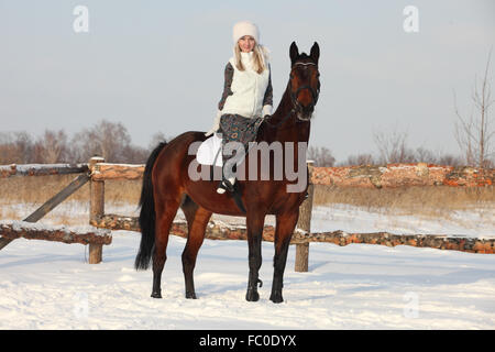 Pferdesport Reiten auf einem Feld im Winter, im Hintergrund eine Winterlandschaft Stockfoto