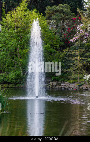 Feature-Brunnen im Crystal Springs Rhododendron Garden, Portland, Oregon, USA Stockfoto