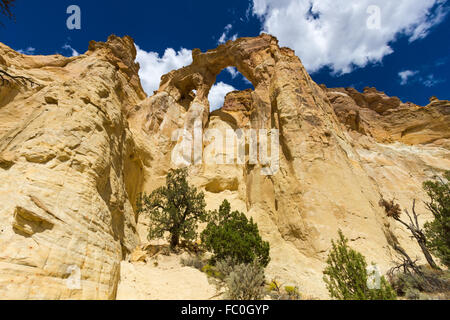 Grosvenor Arch 9 Stockfoto