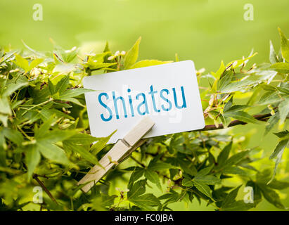 Das Wort "Shiatsu" in einem Fan-Ahorn-Baum Stockfoto