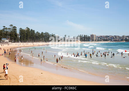 Blick nach Norden am Manly Beach in Sydney/Australien auf ein Sommer Tag, New-South.Wales, Australien Stockfoto