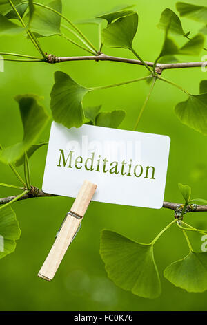 Das Wort "Meditation" in ein Ginkgo-Baum Stockfoto