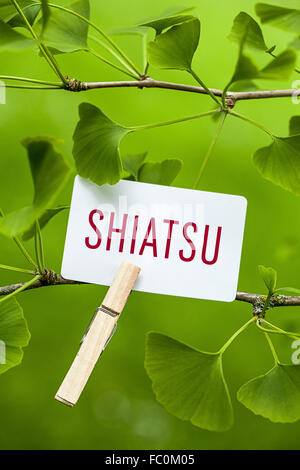 Das Wort "Shiatsu" in einem Ginkgobaum Stockfoto