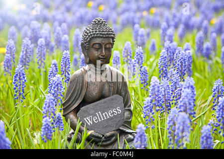 Buddha-Statue mit dem Wort "Wellness" Stockfoto