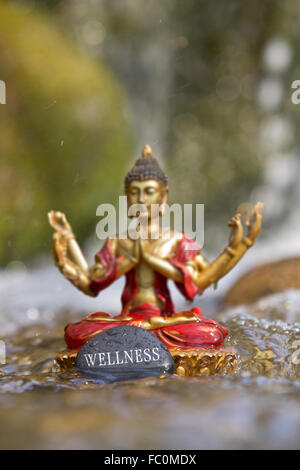 Buddha-Statue mit dem Wort "Wellness" Stockfoto