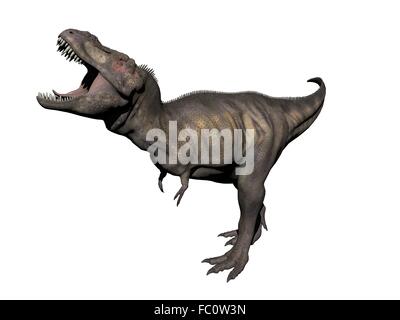 Tyrannosaurus Dinosaurier - 3d render Stockfoto