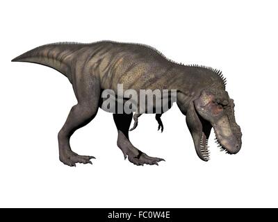 Tyrannosaurus Dinosaurier - 3d render Stockfoto