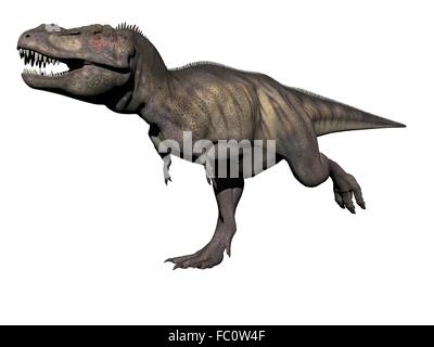Tyrannosaurus Dinosaurier - 3d render Stockfoto