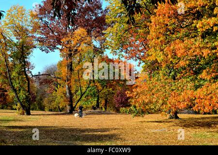 Autumn colors in Central Park Stockfoto