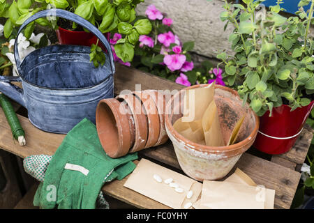 Werkzeuge für die Gartenarbeit Stockfoto