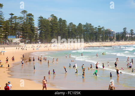 Blick nach Norden am Manly Beach in Sydney/Australien auf ein Sommer Tag, New-South.Wales, Australien Stockfoto
