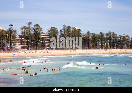 Blick nach Norden am Manly Beach in Sydney/Australien auf ein Sommer Tag, New-South.Wales, Australien Stockfoto