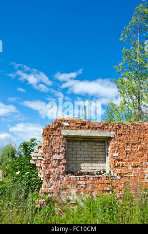 Desolate Backsteinhaus in der verwilderten Wiese bröckelt an sonnigen Tag mit blauen Wolkenhimmel Stockfoto