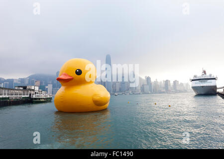 HONG KONG - Mai 6: Riesige Gummiente schwimmt im Victoria Harbour auf 6. Mai 2013 in Hongkong. Stockfoto