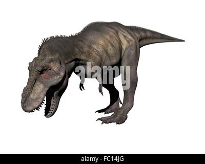 Tyrannosaurus Dinosaurier - 3d render Stockfoto