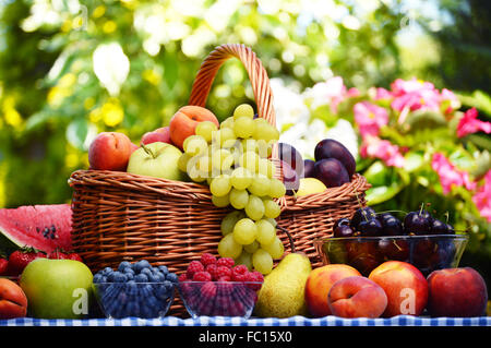 Korb mit frischen Bio-Obst im Garten Stockfoto