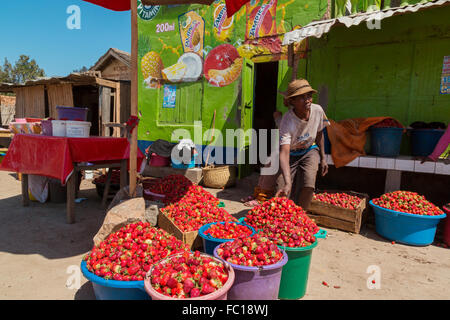 Nationale 7, Ampatofotsy, Erdbeeren Verkäufer am Strassenrand, Madagaskar Stockfoto