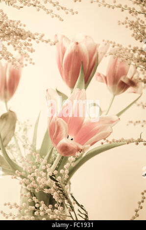 Frühlingsstrauß mit einem Mimosa und Tulpen Stockfoto