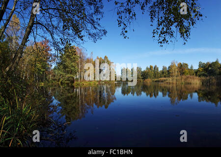 Moor-See in Pfrunger Ried Stockfoto