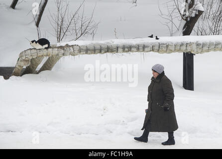 Charkiw, Ukraine. 19. Januar 2016. Eine Frau geht vorbei an einem oberirdischen Heizungsrohr, auf dem eine Katze, in Charkow, Ukraine, 19. Januar 2016 sitzt. Foto: SOEREN STACHE/Dpa/Alamy Live News Stockfoto