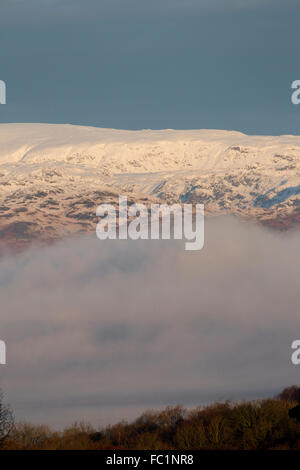 Lake Windermere Cumbria UK Wetter 20. Januar 2016 Sonne aufgehen über misty Lake Windermere & Schnee auf Fjälls. Die Fjälls über Lake Windermere & langsam clearing Nebel über den See-Kredit: Gordon Shoosmith/Alamy Live News Stockfoto