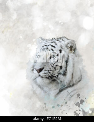 Weißer Tiger-Portrait Stockfoto