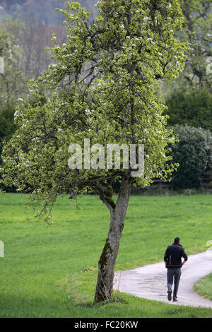 Mann allein zu Fuß auf einem Pfad. Stockfoto