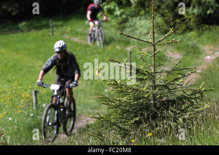 Dre Dans le l'Darbon: Mountainbike-Rennen in den französischen Alpen. Stockfoto