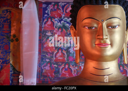 Shedrub Choekhor Ling Kloster. Buddha-Statue. Stockfoto